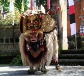 Bali016
