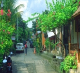 Bali066