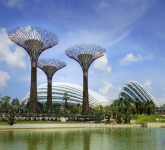 Singapore011